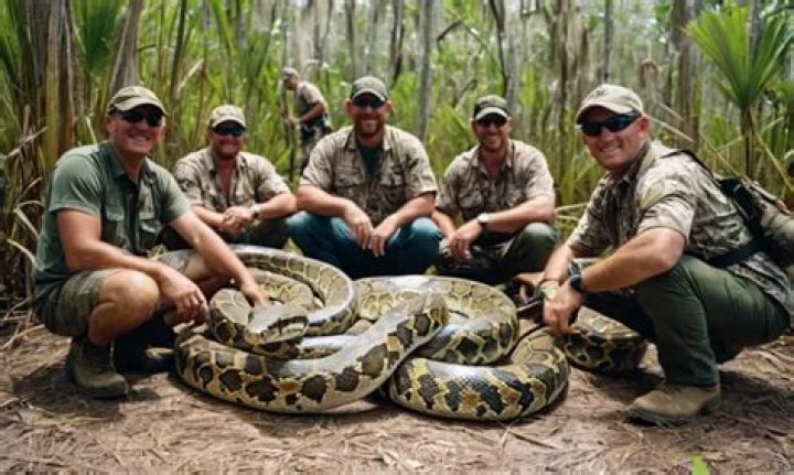 
Environment |	Python hunters get paid by the hour. Here’s what it takes to do it for a living.	
