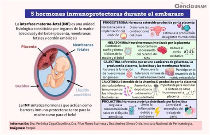 Estas son las cuatro hormonas que influyen en el aumento de peso
