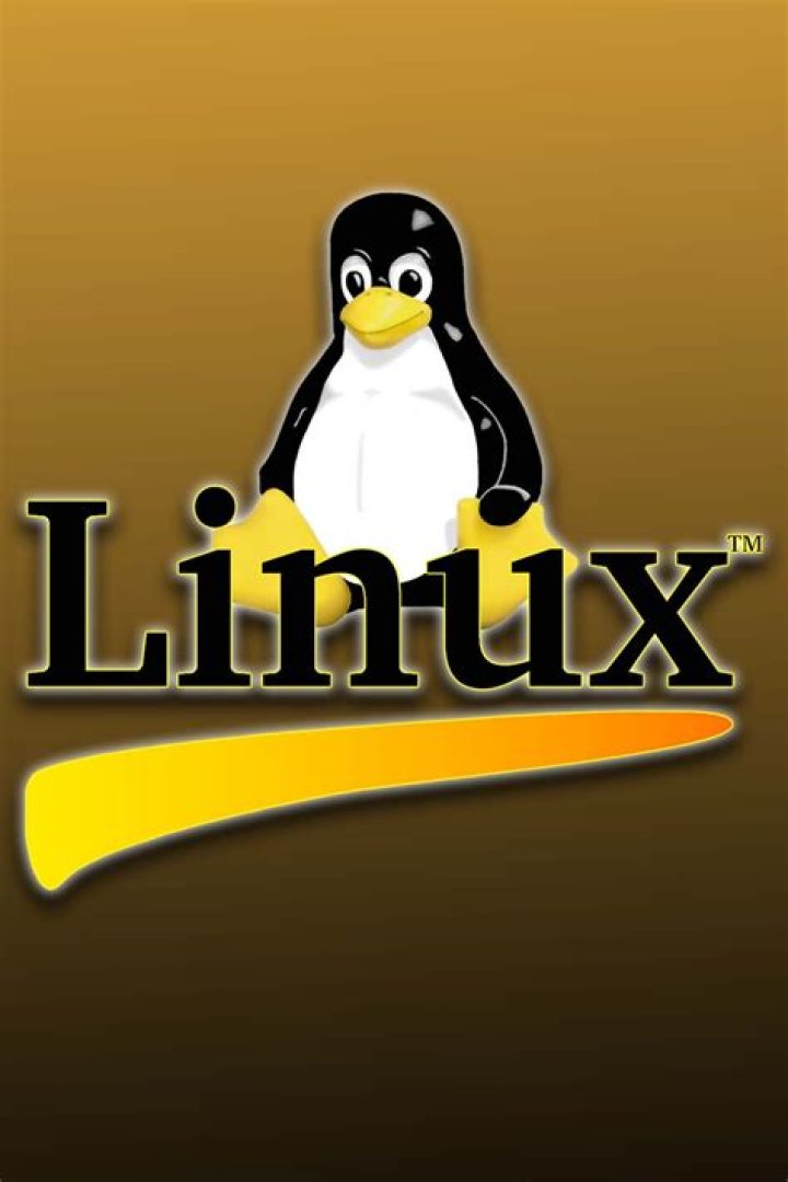Everything You Need to Build a Game Server on Linux