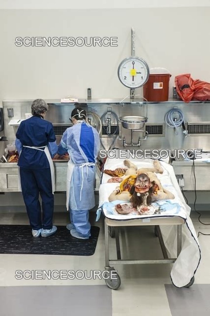 Exploring Dee Dee's Autopsy Photos: A Comprehensive Insight