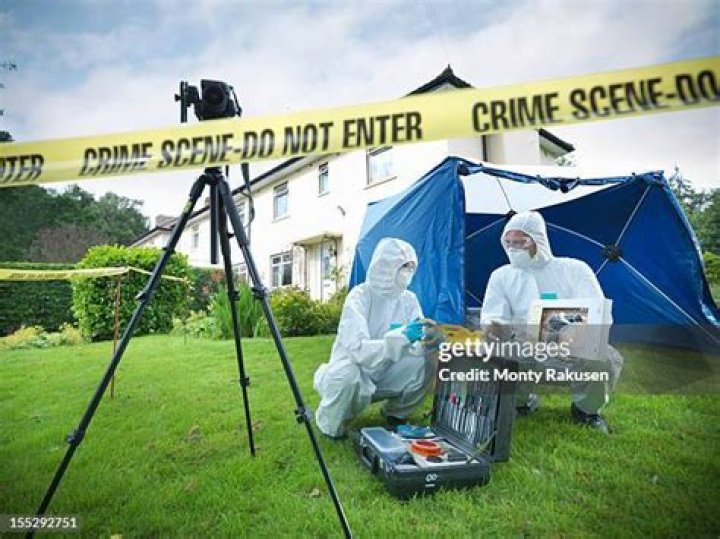 Exploring Deedee Crime Photos: A Deep Dive Into The Captivating World Of Crime Scene Imagery