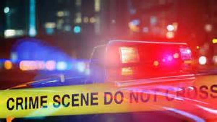 Exploring Deedee Crime Scene Photos: Understanding The Impact Of True Crime Imagery
