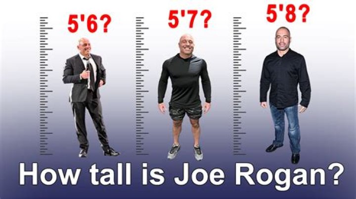 Exploring Joe Rogan's Height: Insights And Facts