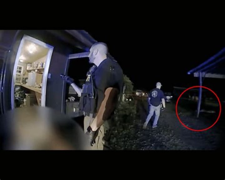 Exploring The Dark World Of Grusome Crime Scene Photos