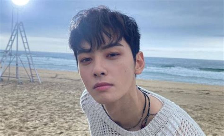 Exploring The Ethnicity Of Cha Eun-woo: A Cultural Journey