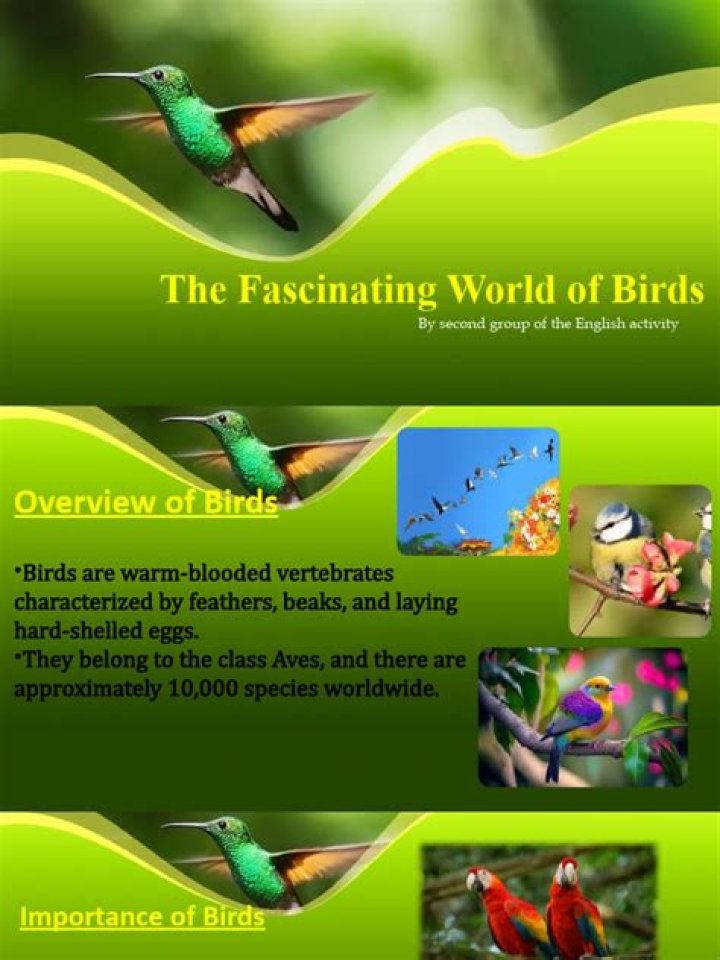 Exploring The Fascinating World Of 