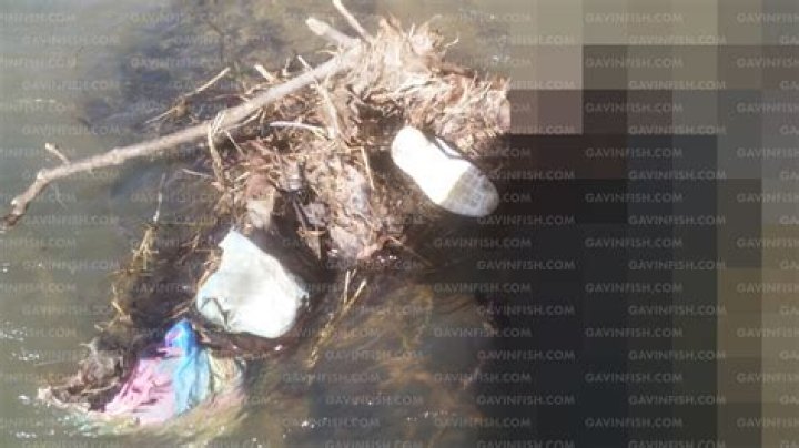 Exploring The Gypsy Rose Crime Scene Leaked Photos: A Deep Dive Into The Controversial Case