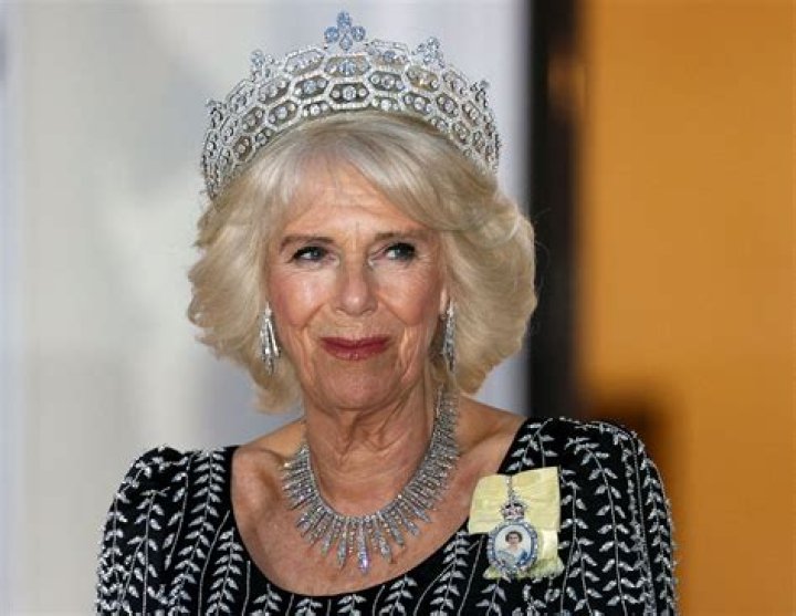 Exploring The Intriguing Life Of Camilla Of Leak