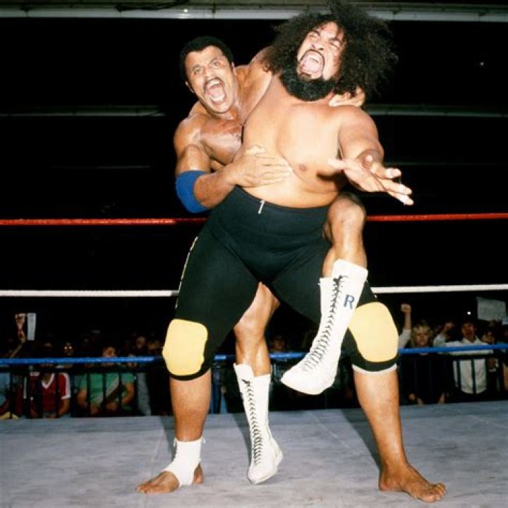 Exploring The Rich Heritage Of Rocky Johnson's Ethnicity