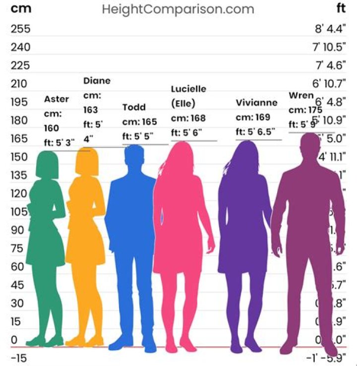 Exploring The Significance Of 1.85m: Height, Achievements, And More