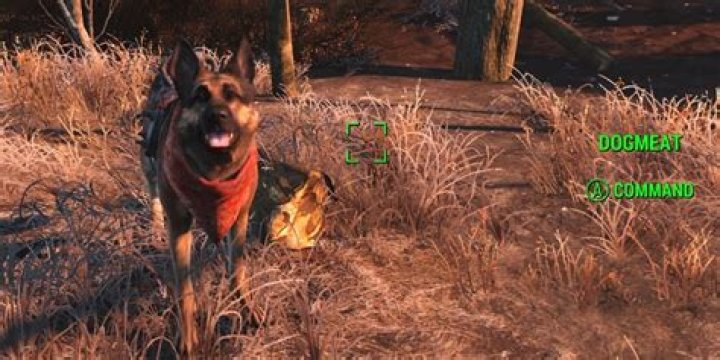 Fallout 4: How to Find Dogmeat