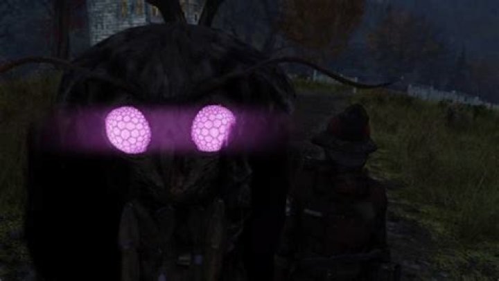 Fallout 76: How to Find the Mothman (Friendly & Vengeful)