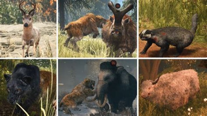 Far Cry Primal: How to Get Rare Animals
