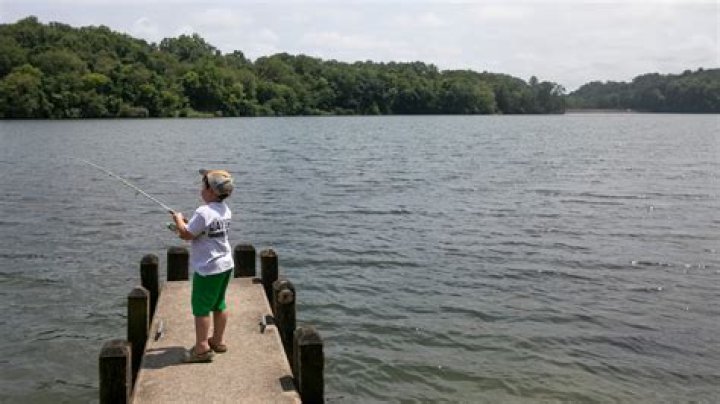 Fishing licenses now on sale