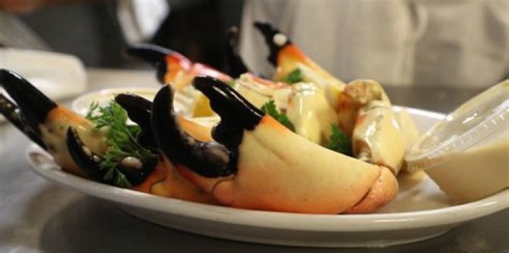 	Florida’s stone crab season kicks off Oct. 15: Will claws cost more than last season?	
