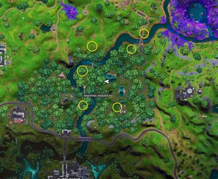 Fortnite Dead Drop locations: Where to interact with a Dead Drop in Weeping Woods
