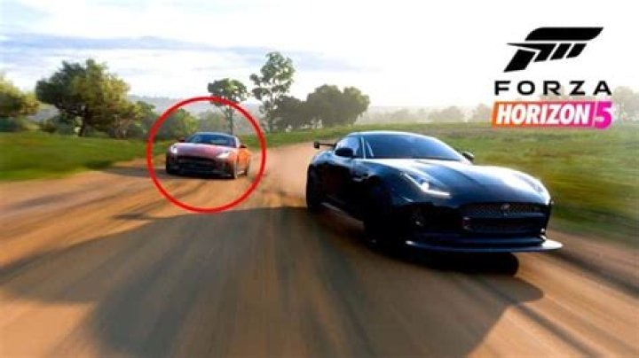 Forza Horizon 5 glitch shows 