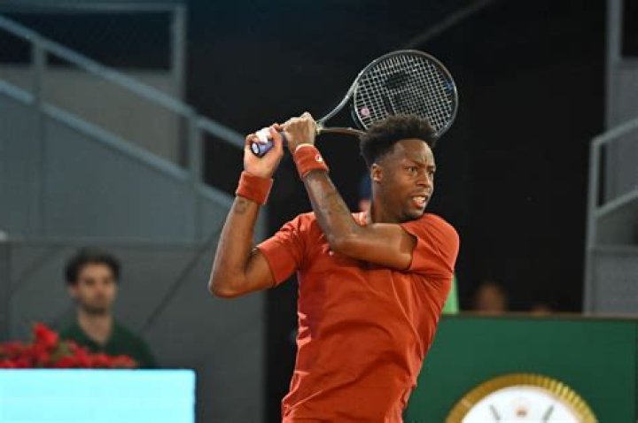 Gael Monfils Vermögen
