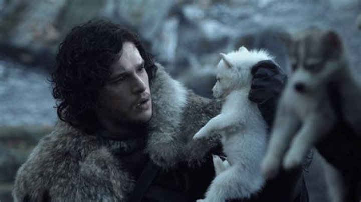 Game of Thrones- Stark direwolf wallpapers