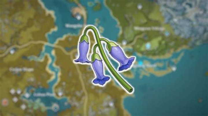 Genshin Impact: Violetgrass Locations