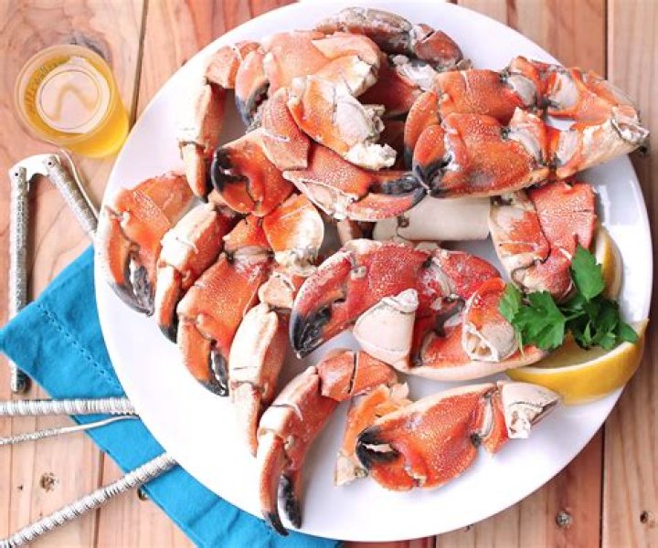 	GERMAN PARTIES; EAT A STONE CRAB	