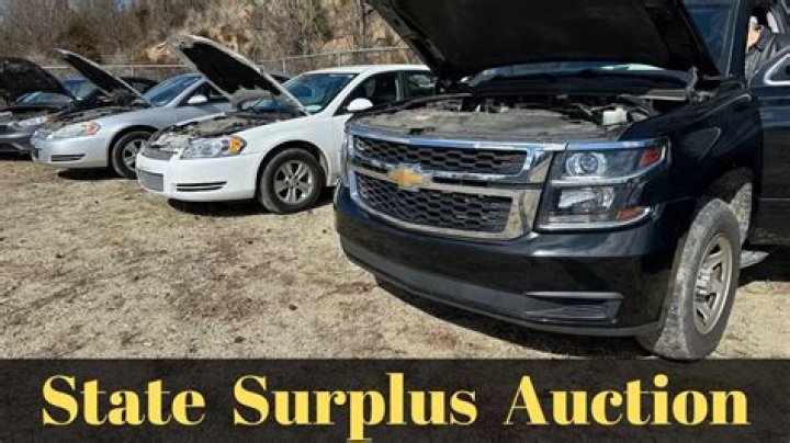 Government surplus auction brings people ready to deal