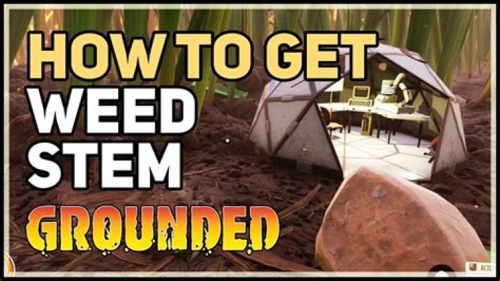 Grounded: How to Get Weed Stem