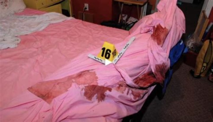 Gypsy Rose Crime Scene Photos: A Deep Dive Into A Controversial Case
