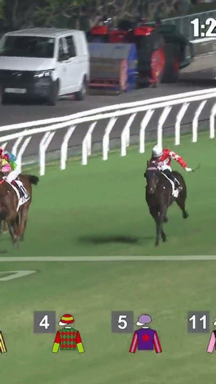 HAPPY HERO (G322) 國大合 | Horses | HK Racing
