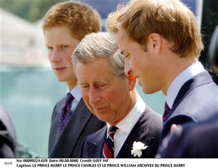 Harry Fils De Charles