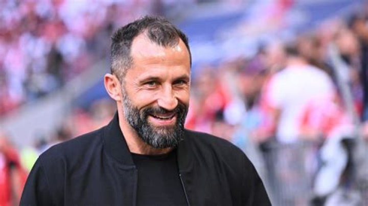 Hasan Salihamidžić Vermögen