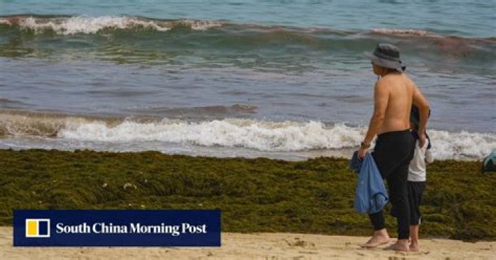 Hong Kong hit by 10 red tides as heavy rain lashes city over past week