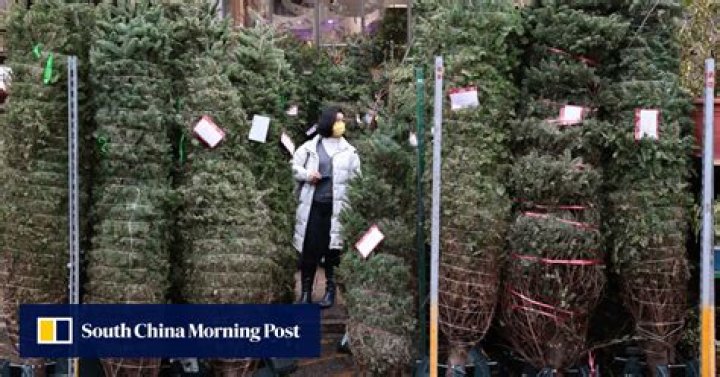Hong Kong’s demand for Christmas trees has withered this year. What’s the root cause?