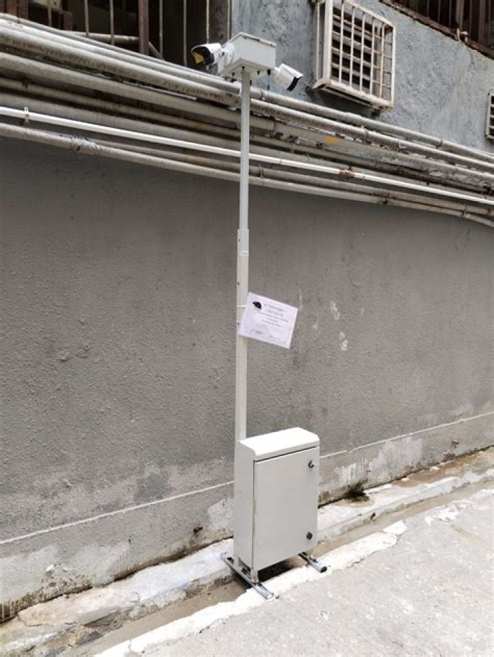Hong Kong’s rat problem tackled with new AI and hi-tech surveillance equipment