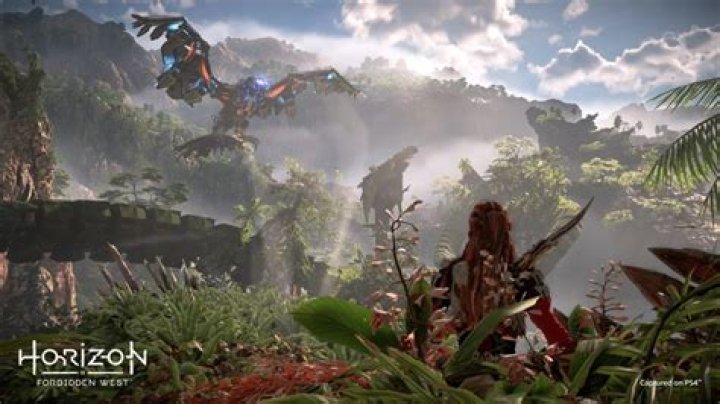 Horizon Forbidden West Leveling Guide: How to Level Up Fast & Max Level Cap Explained