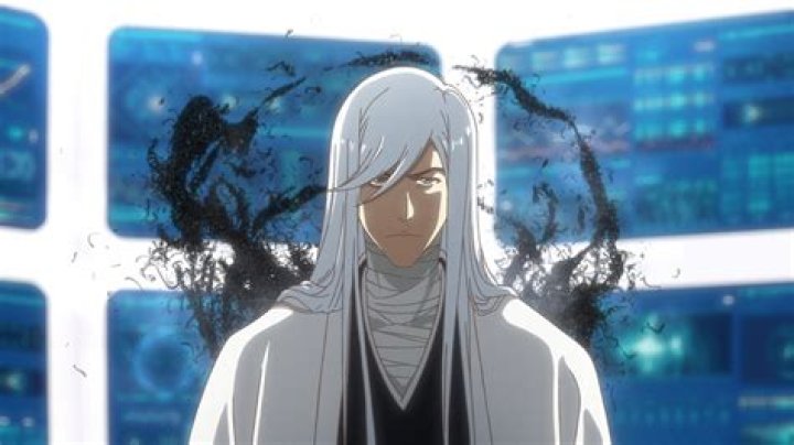 How did the Shinigami get their Bankai back in Bleach TYBW? Explained