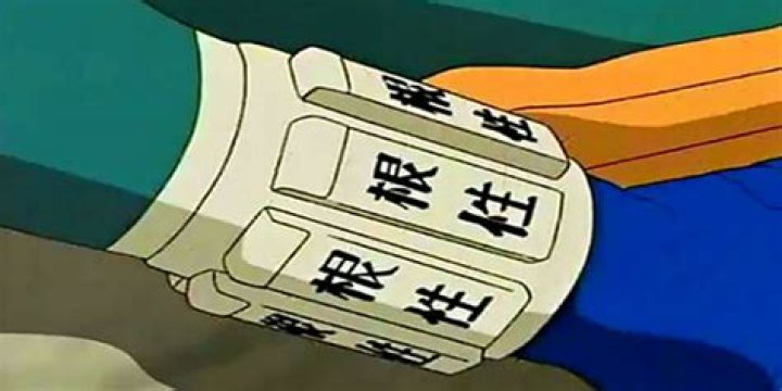 How heavy were Rock Lee's ankle weights?