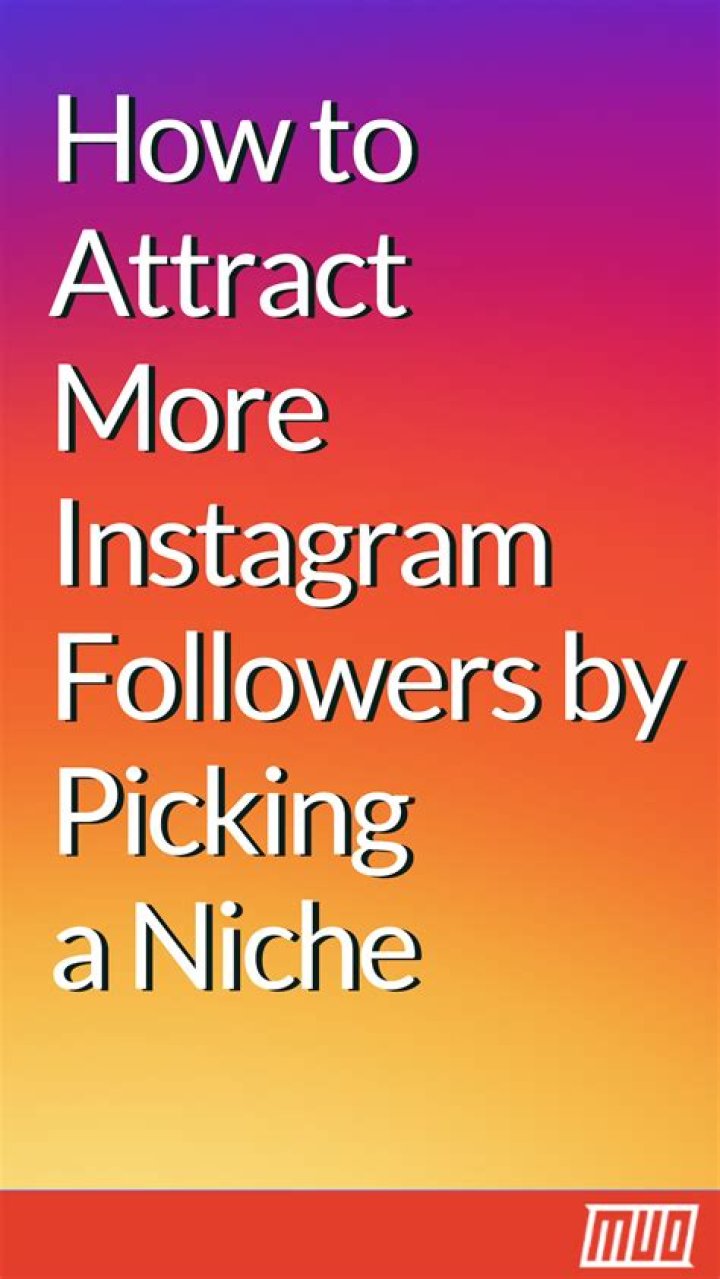 How to Attract More Instagram Followers by Picking a Niche
