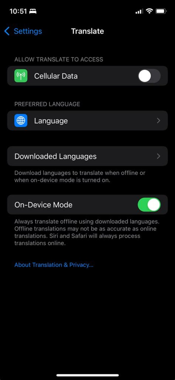 How to Automatically Translate a Spoken Conversation With Your iPhone