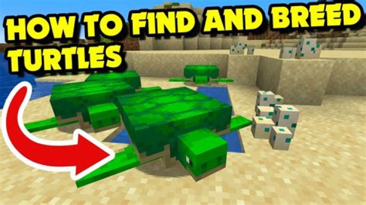 How to breed turtles in Minecraft