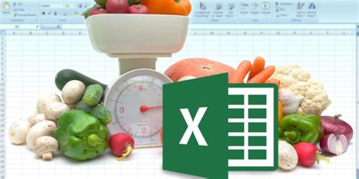 How to Build Perfect Meals With the IIFYM Calculator and Excel