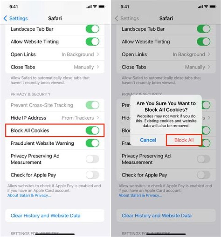 How to Clear Cookies on iPhone