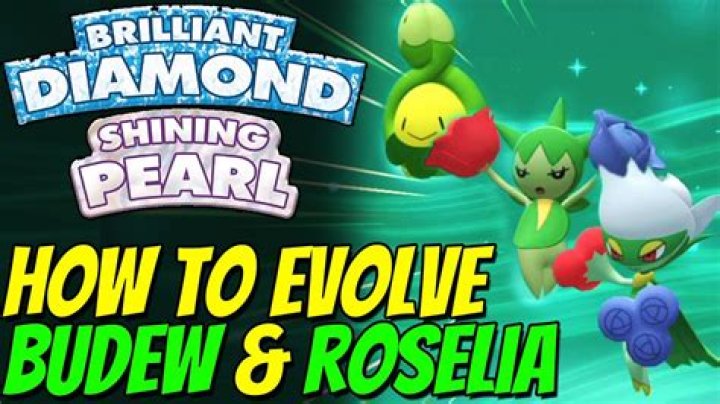 How to Evolve Budew in Pokemon Brilliant Diamond Shining Pearl