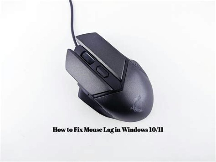 How to Fix Mouse Lag in Windows 11 and 10