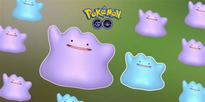 How to Get Ditto in Pokemon GO January 2022