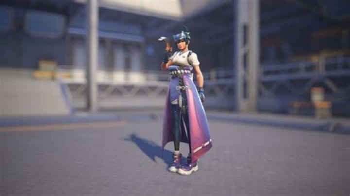 How to Get Every Overwatch Skin