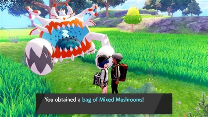 How to get Spiritomb in Pokemon Sword & Shield Crown Tundra