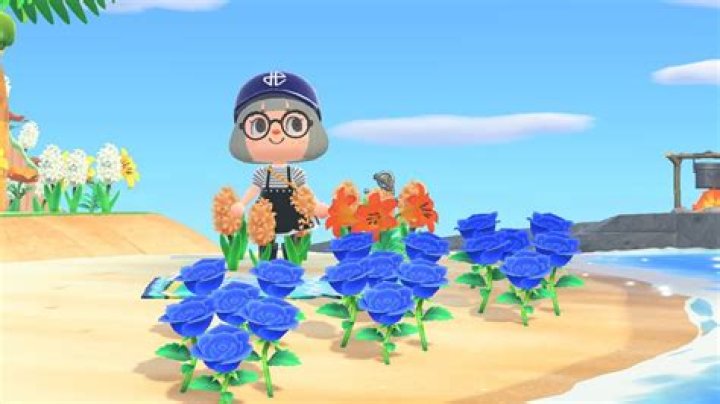 How to grow blue roses in Animal Crossing: New Horizons