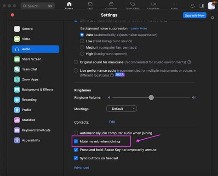 How to Mute on Zoom