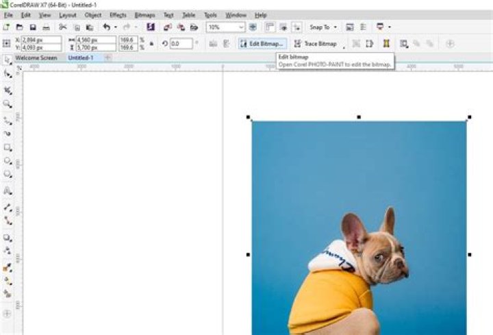 How to Remove an Image Background in CorelDRAW